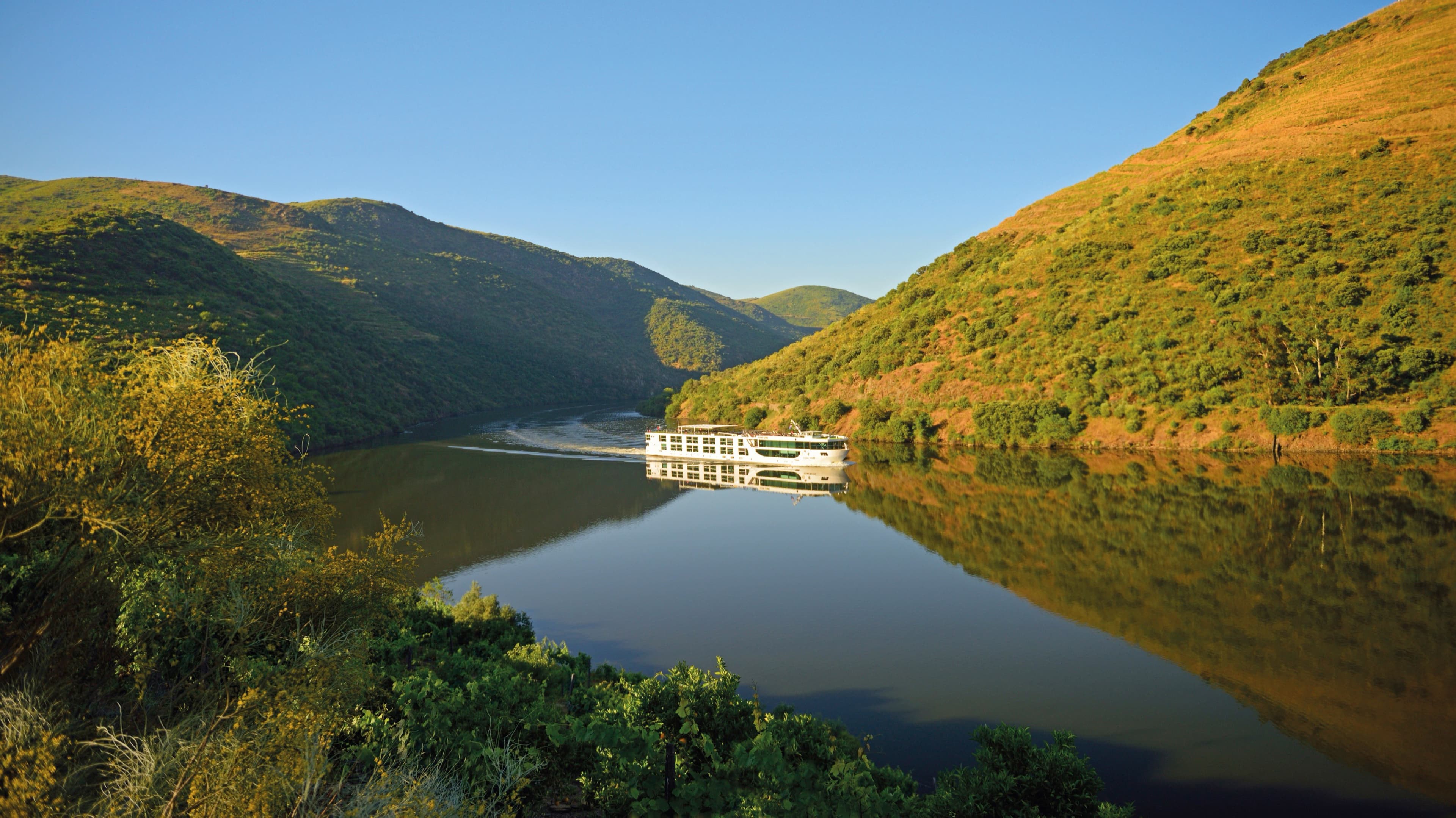 Scenic cruise ship at sea